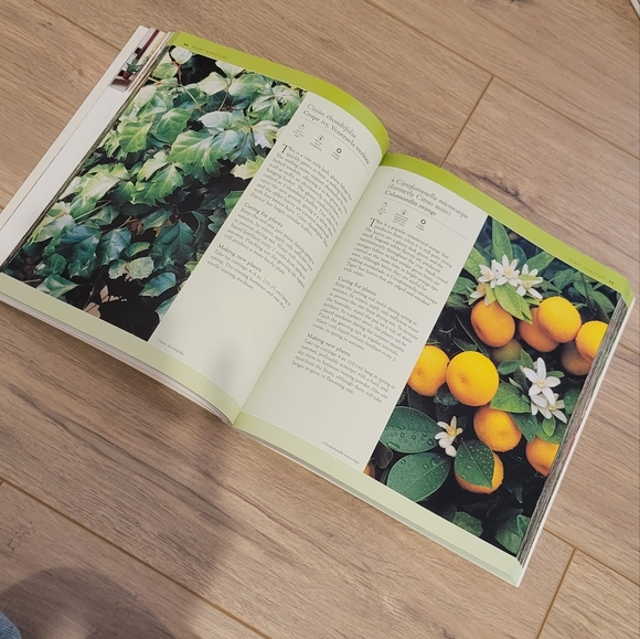 Readers digest compete guide to houseplants - Picture 3 of 3